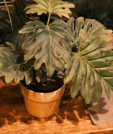 The Essential Guide to Houseplants: Purify Your Space and Lift Your Spirits