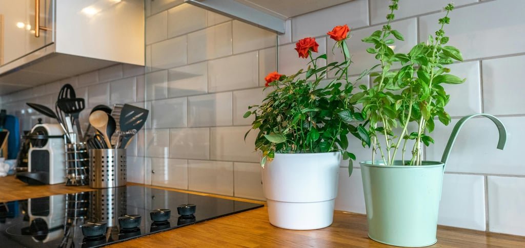 The Essential Guide to Houseplants: Purify Your Space and Lift Your Spirits
